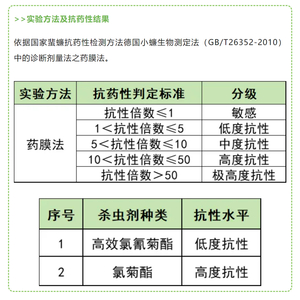 广东蟑螂进化引发关注，疾控部门作出回应