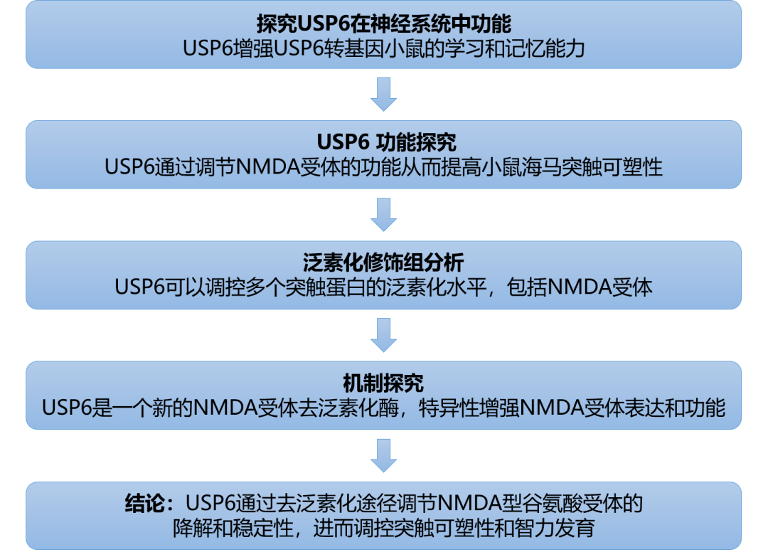 2004新澳精准资料免费提供，持续解析方案_DP41.94.8