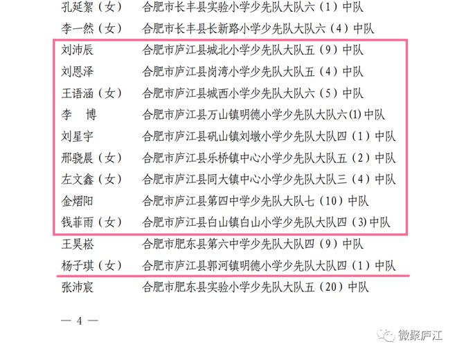 庐江人社局发布新政，优化服务，提升民生福祉最新公告