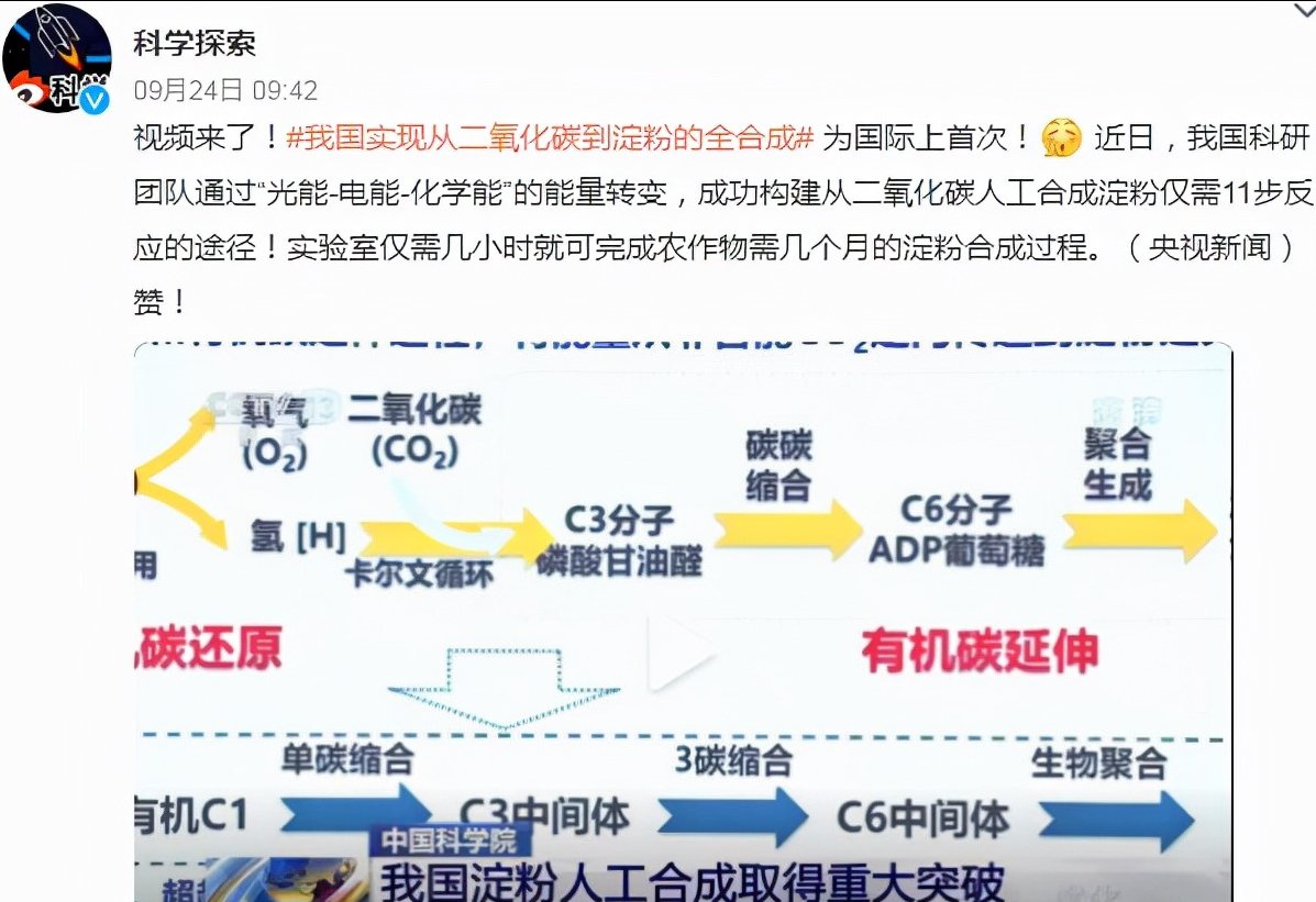 香港免费大全资料大全,全方位了解香港免费资源指南_标准版7.55