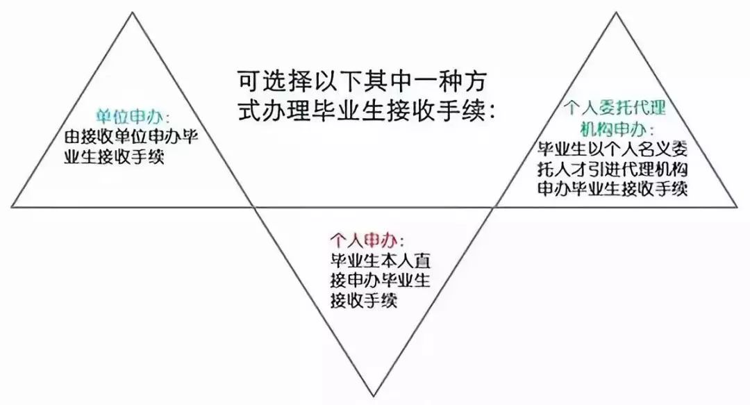 2024年10月 第1241页