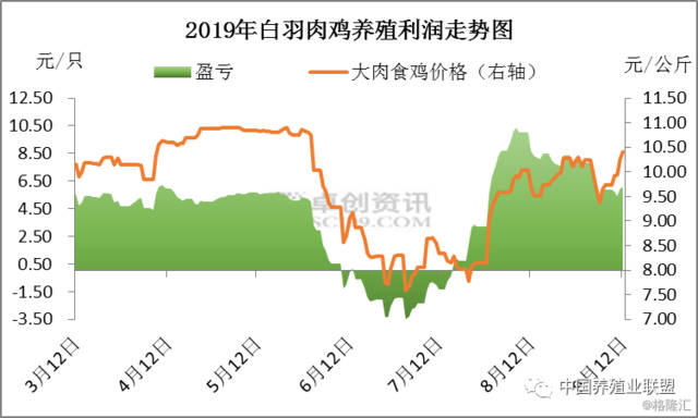 澳门最精准正最精准龙门蚕,澳门龙门蚕精确养殖新突破_移动版7.8