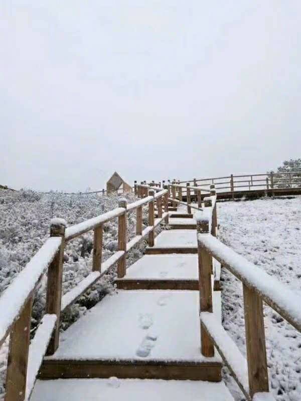 北京下雪了！实拍雪景美不胜收