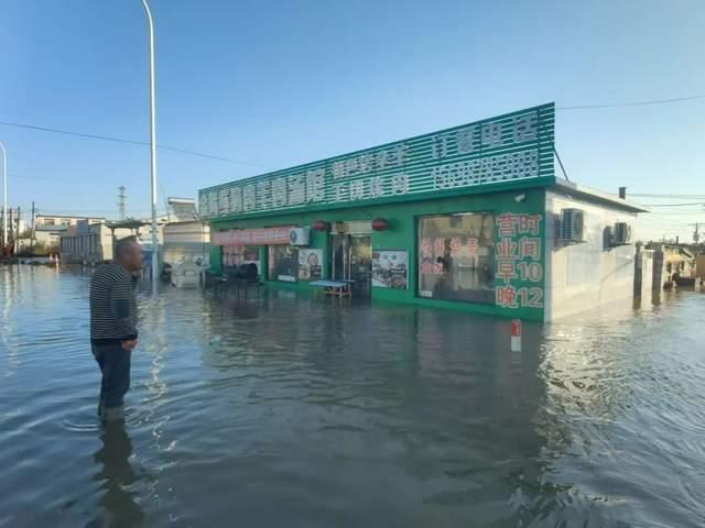 全国多地海水倒灌现象分析，专家解读与可靠操作策略方案探讨