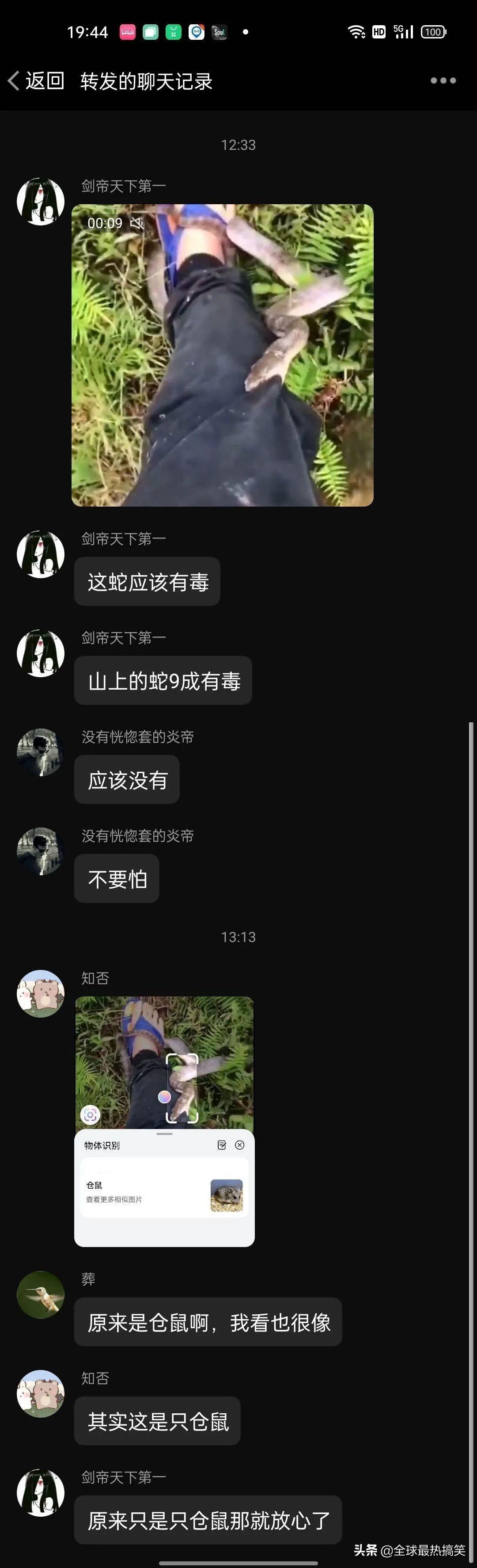 女生取快递发现仓鼠咬开箱子等待，事件最新解答与定义_苹果款细节揭秘