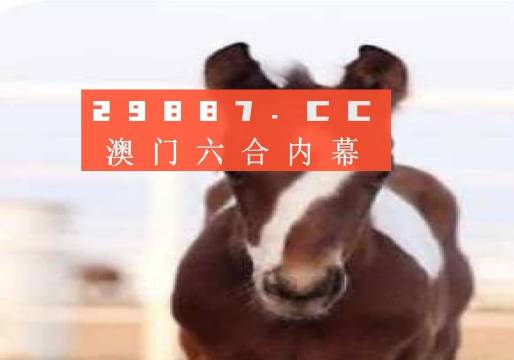 澳门一肖一码100准,灵活性执行计划_运动版41.41.48