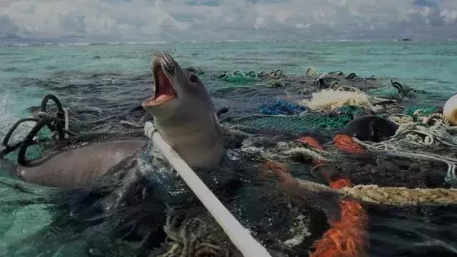 多地异常增水海水倒灌 应急响应启动,效率资料解释定义_SHD30.10.83