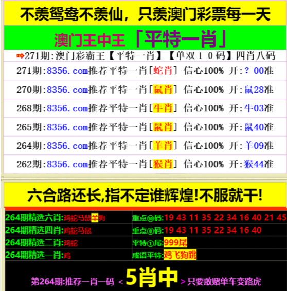 澳门王中王一肖一特一中2020,决策信息解析说明_移动版87.77.90