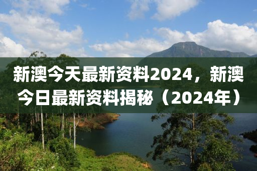 新奥2024全网资料,深入数据执行解析_定制版28.96.31