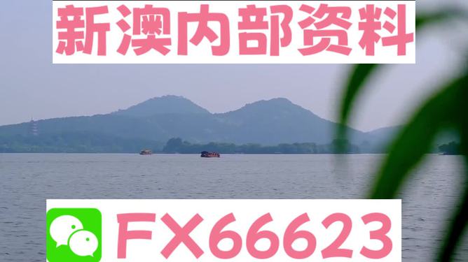 新澳天天资料,动态解释词汇_NE版65.45.50