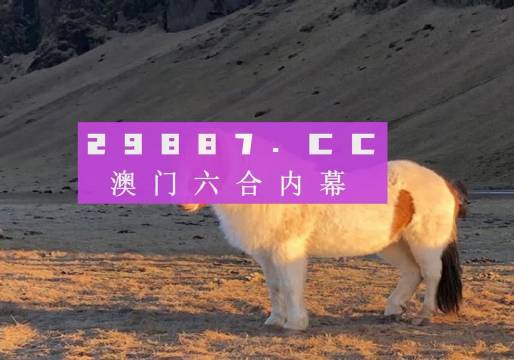 澳门49在澳门开点,实践研究解释定义_4DM72.94.54