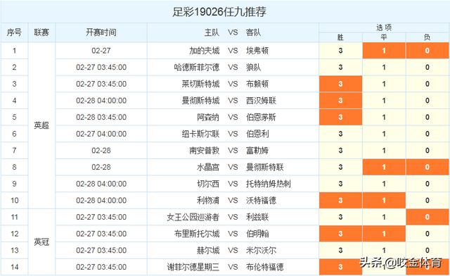 蓝月亮资料精选期期准,专业调查解析说明_Plus85.85.92