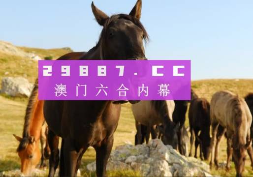 澳门管家婆一肖一码%,预测解析说明_云端版14.96.18