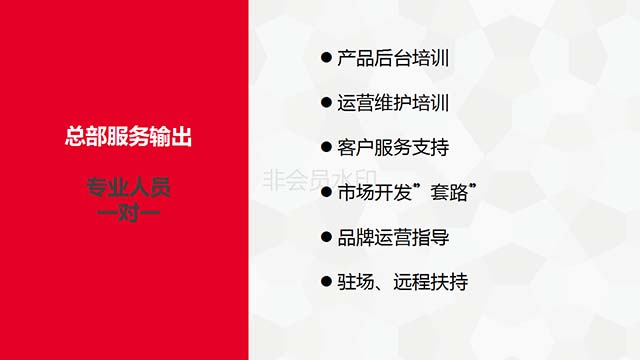 澳门4949精准免费大全超实用攻略揭秘分享_畅玩技巧汇编