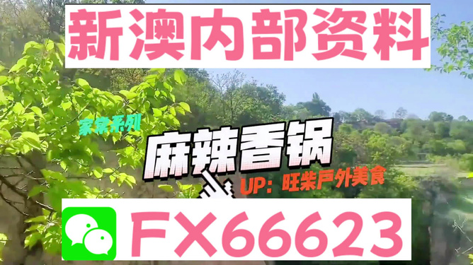 2024新澳最精准资料,深度调查解析说明_复刻款33.67.19