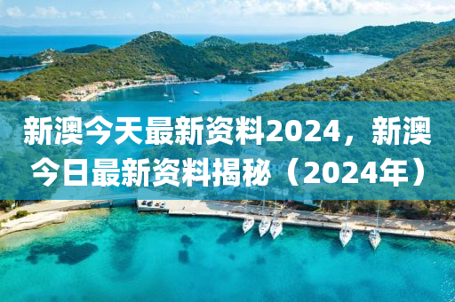 2024新澳门的资料今晚,数据引导设计策略_工具版21.93.32