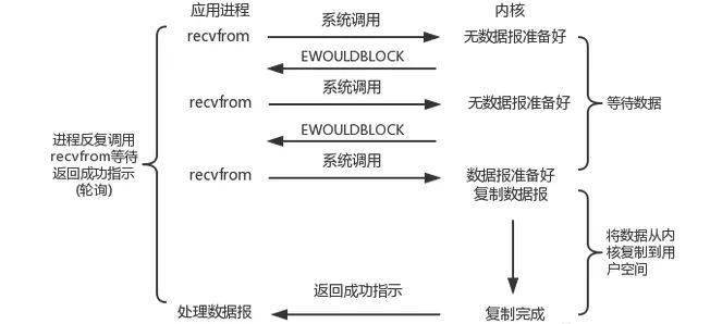 2024凌波微步每期自动更新图,原理解答解释落实_安卓87.209