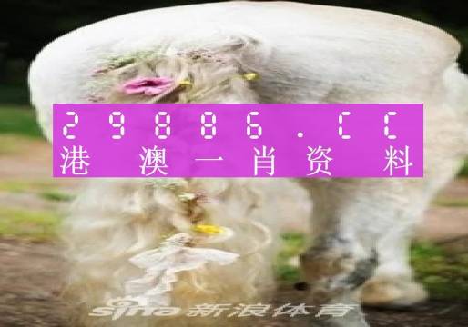 澳门一肖一码100精准2023,经验解答解释落实_界面版93.196