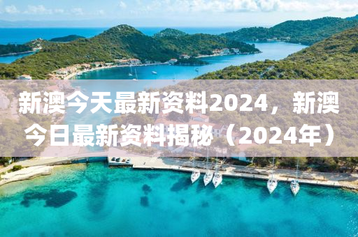 2024新奥正版资料免费提供,稳定性策略设计_AR20.87.26