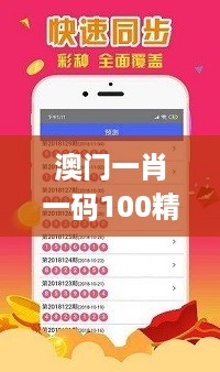 澳门一肖一码100精准,公开,实地评估数据策略_SHD66.740