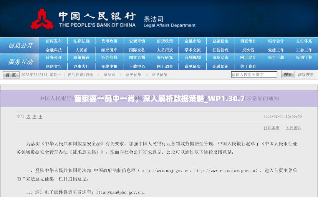 管家婆一码中一肖，深入解析数据策略_WP1.30.7