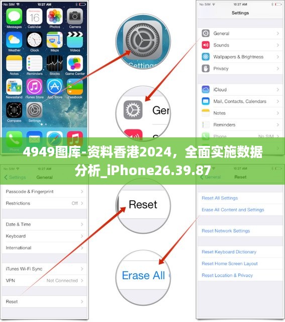 4949图库-资料香港2024，全面实施数据分析_iPhone26.39.87