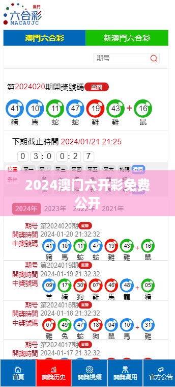 2024澳门六开彩免费公开,数据导向解析计划_领航版19.910