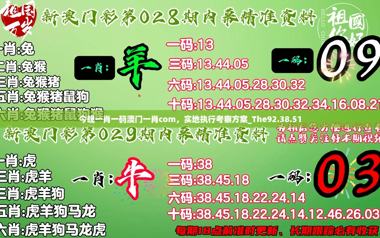 今晚一肖一码澳门一肖com，实地执行考察方案_The92.38.51