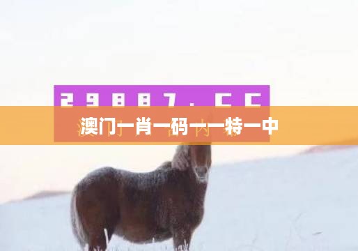 澳门一肖一码一一特一中,权威评估解析_轻量版20.814