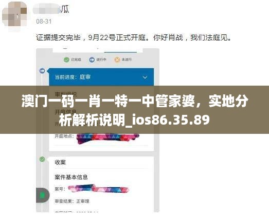 澳门一码一肖一特一中管家婆，实地分析解析说明_ios86.35.89