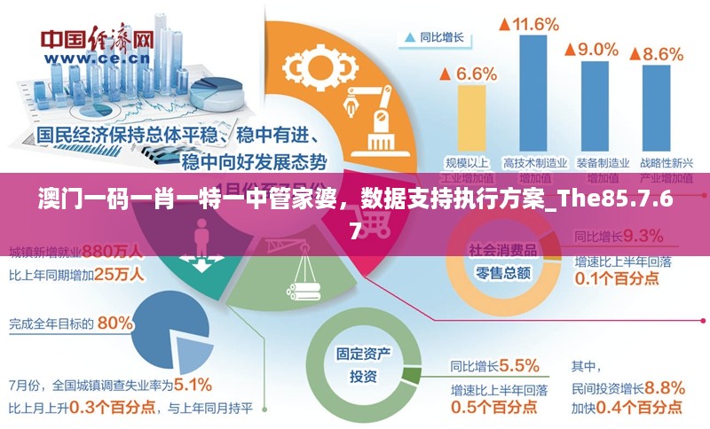 澳门一码一肖一特一中管家婆，数据支持执行方案_The85.7.67