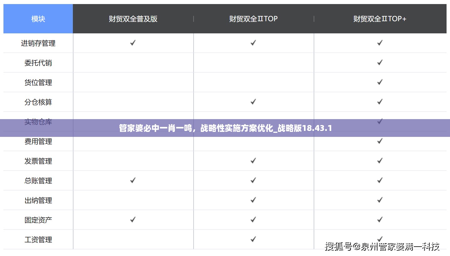 管家婆必中一肖一鸣，战略性实施方案优化_战略版18.43.1