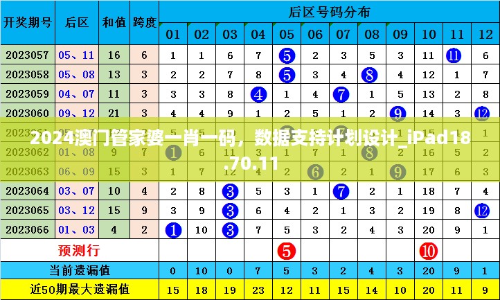 2024澳门管家婆一肖一码，数据支持计划设计_iPad18.70.11