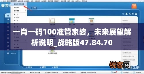 一肖一码100准管家婆，未来展望解析说明_战略版47.84.70