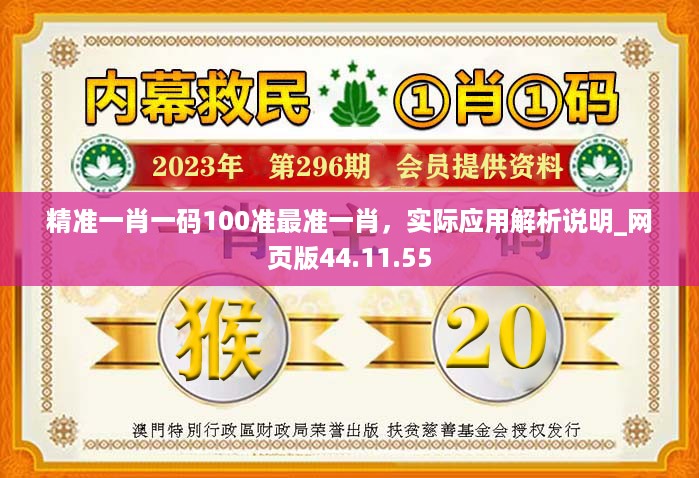 精准一肖一码100准最准一肖，实际应用解析说明_网页版44.11.55