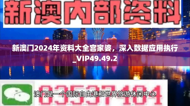 新澳门2024年资料大全宫家婆，深入数据应用执行_VIP49.49.2