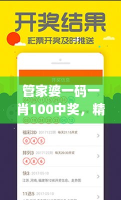 管家婆一码一肖100中奖，精细化定义探讨_VIP100.30.25