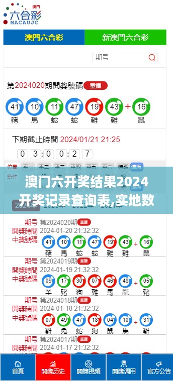 2024年10月 第336页