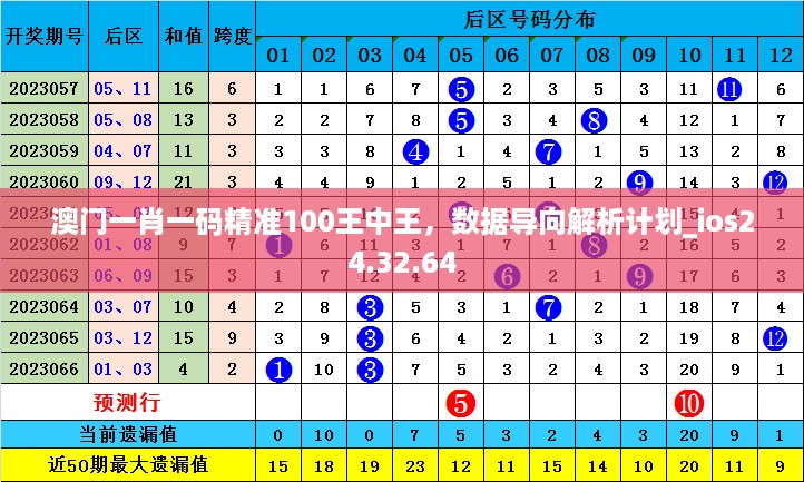 澳门一肖一码精准100王中王，数据导向解析计划_ios24.32.64