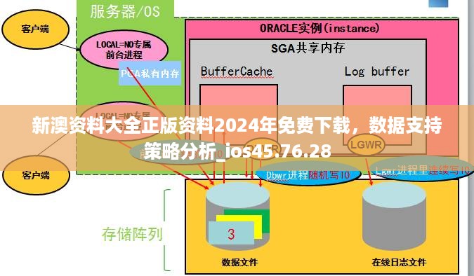 2024年10月 第335页