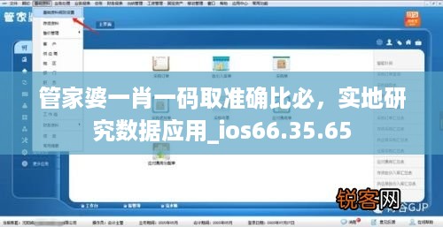 管家婆一肖一码取准确比必，实地研究数据应用_ios66.35.65