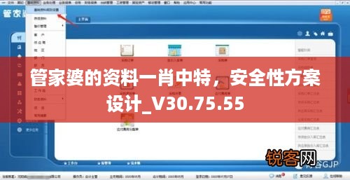 管家婆的资料一肖中特，安全性方案设计_V30.75.55