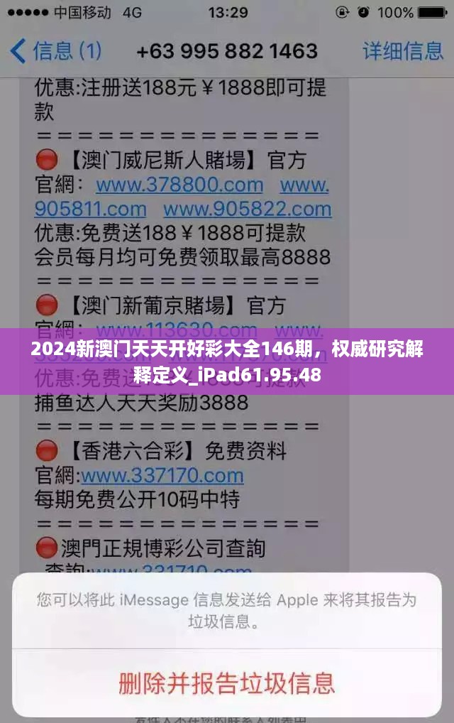 2024新澳门天天开好彩大全146期，权威研究解释定义_iPad61.95.48