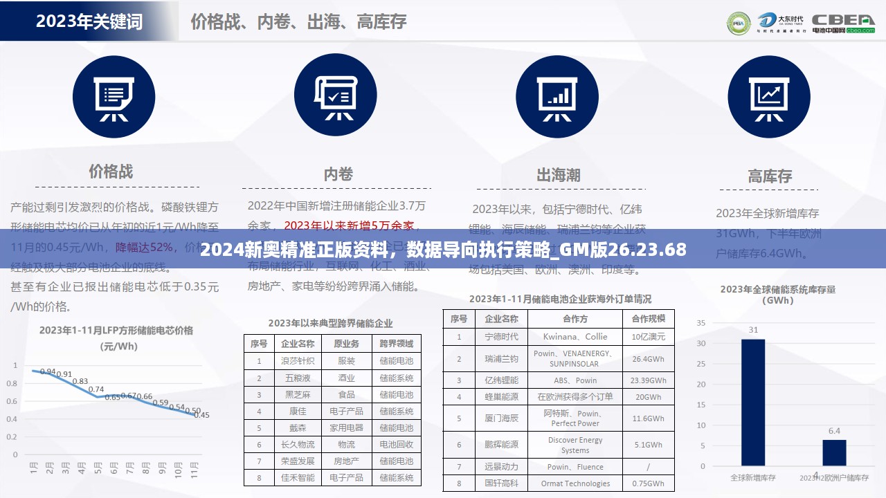 2024新奥精准正版资料，数据导向执行策略_GM版26.23.68