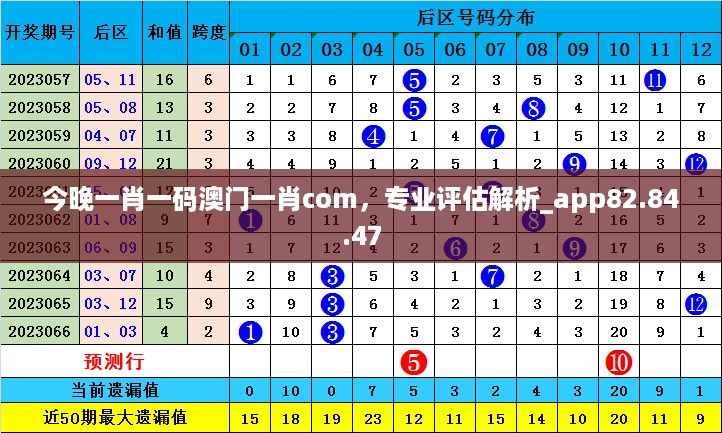 今晚一肖一码澳门一肖com，专业评估解析_app82.84.47