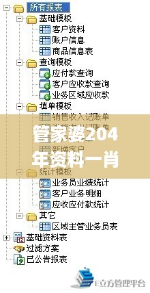 管家婆204年资料一肖配成龙，结构化计划评估_app70.1.18