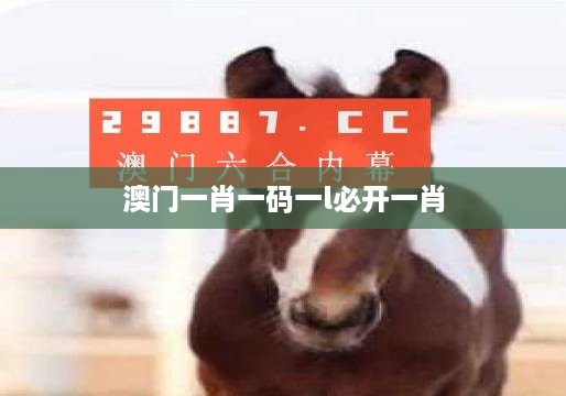 澳门一肖一码一l必开一肖,创新解析方案_KP50.204