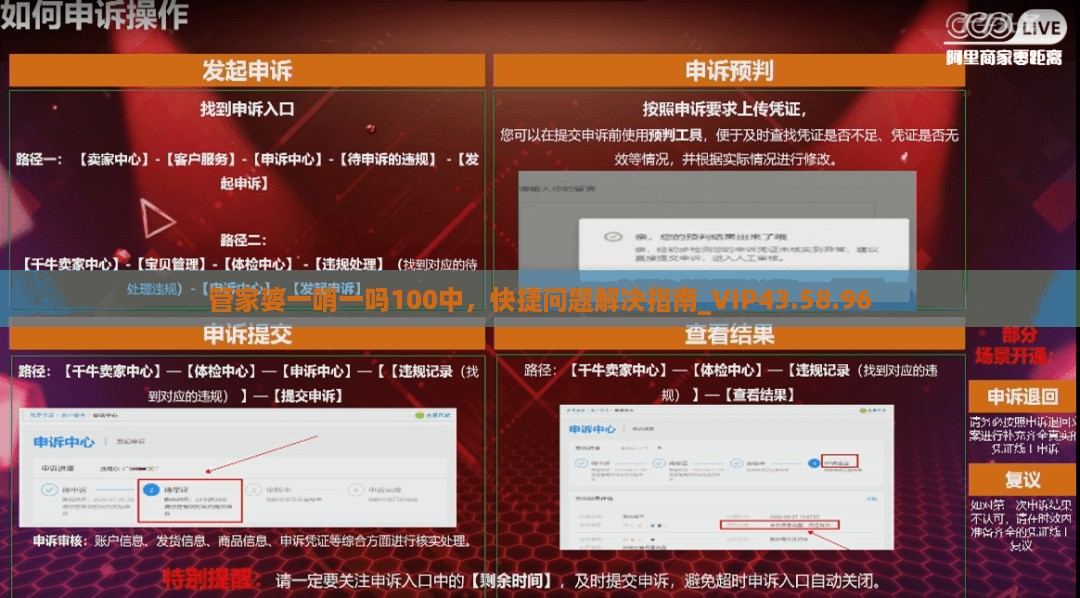 管家婆一哨一吗100中，快捷问题解决指南_VIP43.58.96