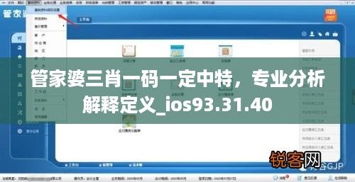 管家婆三肖一码一定中特，专业分析解释定义_ios93.31.40