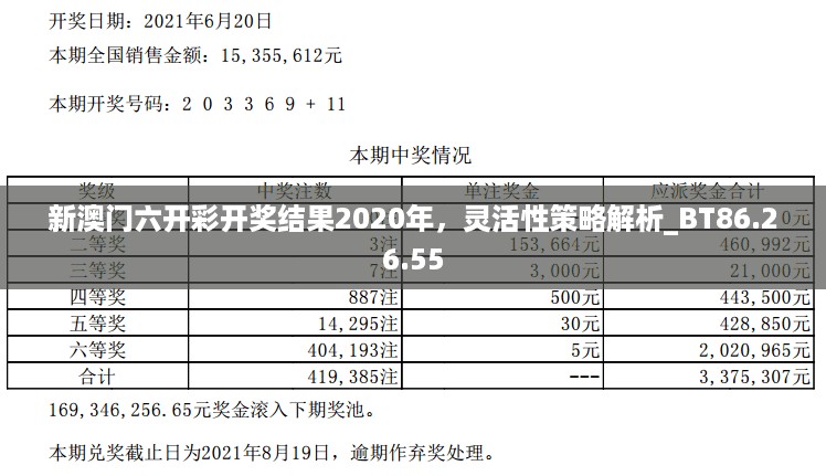 新澳门六开彩开奖结果2020年，灵活性策略解析_BT86.26.55